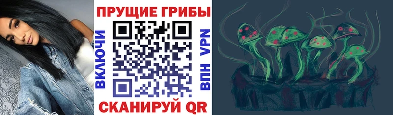наркошоп  OMG ТОР  Псилоцибиновые грибы Cubensis  Сураж 